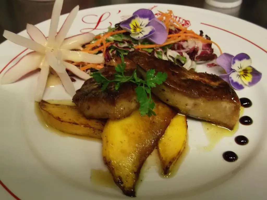 Hotel Restaurant L'Ecrevisse Bourg-de-Thizy